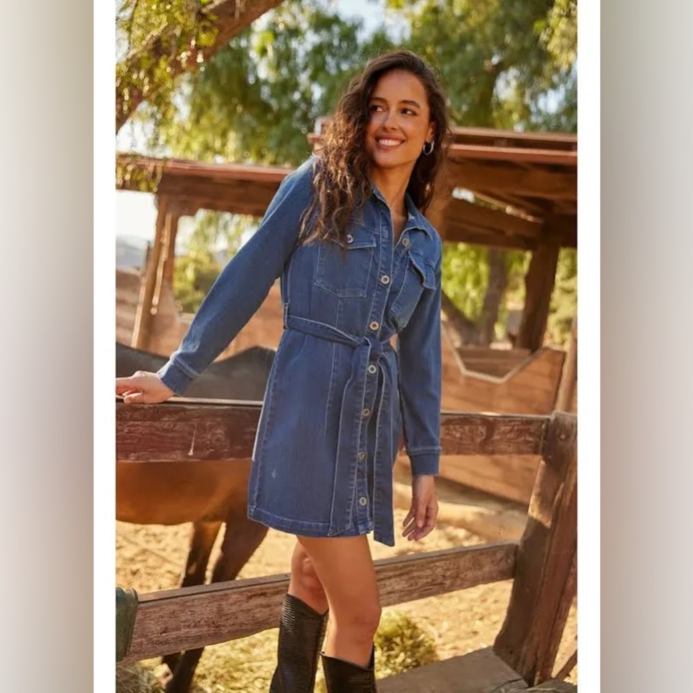 Bella Dahl Blue Denim Dress